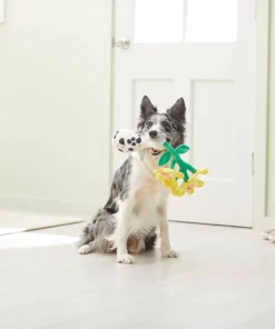 Frisco Brunch Flowers Plush Squeaky Dog Toy -PetNest Shop 297270 PT2. SY630 V1642088292