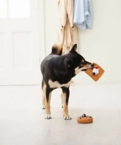 Frisco Brunch Pancake & Waffle Latex Squeaky Dog Toy, 2 count -PetNest Shop 297272 PT2. SY630 V1642089075