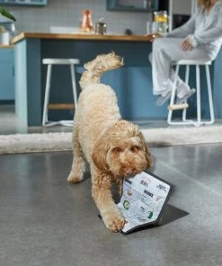 Frisco Brunch Menu Ballistic Nylon Flat Plush Squeaky Dog Toy 7 Frisco Brunch Menu Ballistic Nylon Flat Plush Squeaky Dog Toy -PetNest Shop 297276 PT2. SY630 V1642088788