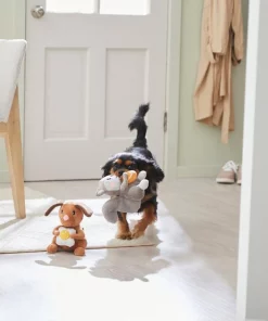 Frisco Brunch Dog & Squirrel Plush Squeaky Dog Toy, 2 count -PetNest Shop 297280 PT2. SY630 V1642088192