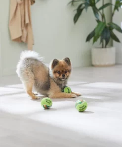 Frisco Brunch Fetch Squeaky Tennis Ball Dog Toy, 3 count -PetNest Shop 297284 PT2. SY630 V1642088214