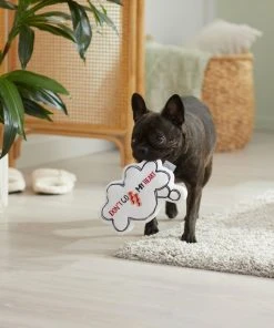 Frisco Brunch Thought Bubble Plush Squeaky Dog Toy -PetNest Shop 297286 PT3. SY630 V1642087915