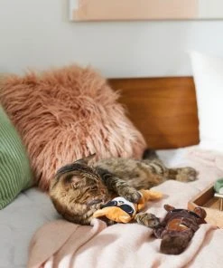 Frisco Brunch Bear & Fox Plush Cat Toy with Catnip, 2 count -PetNest Shop 297290 PT2. SY630 V1642088814