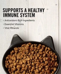 American Journey||Frisco American Journey Salmon Recipe Grain-Free Dry Cat Food, 12-lb bag + Frisco Step-In Cat Scratcher Toy with Catnip, Tropical Palms 12 American Journey||Frisco American Journey Salmon Recipe Grain-Free Dry Cat Food, 12-lb bag + Frisco Step-In Cat Scratcher Toy with Catnip, Tropical Palms -PetNest Shop 297820 PT3. SY630 V1623256069