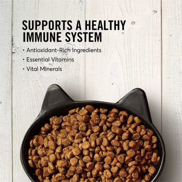 American Journey||Frisco American Journey Salmon Recipe Grain-Free Dry Cat Food, 12-lb bag + Frisco Step-In Cat Scratcher Toy with Catnip, Tropical Palms 6 American Journey||Frisco American Journey Salmon Recipe Grain-Free Dry Cat Food, 12-lb bag + Frisco Step-In Cat Scratcher Toy with Catnip, Tropical Palms - Image 4