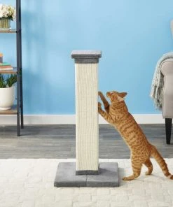Frisco 33.5-in Sisal Cat Scratching Post, Gray + Frisco Sisal Mat, Medium -PetNest Shop 297950 PT3. SY630 V1622740107