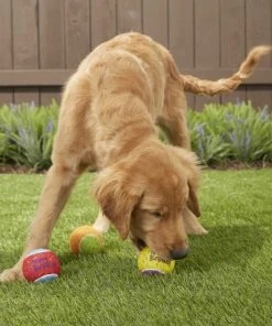 Frisco||The Lazy Dog Cookie Co. Frisco Fetch Squeaking Birthday Tennis Ball Dog Toy, 3-Pack + The Lazy Dog Cookie Co. Happy Birthday Pup-PIE Dog Treat, Boy 11 Frisco||The Lazy Dog Cookie Co. Frisco Fetch Squeaking Birthday Tennis Ball Dog Toy, 3-Pack + The Lazy Dog Cookie Co. Happy Birthday Pup-PIE Dog Treat, Boy -PetNest Shop 297958 PT3. SY630 V1621303653