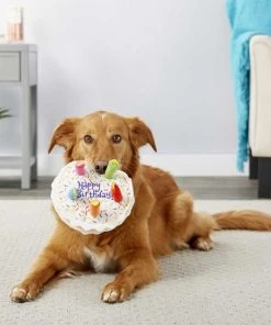 Frisco||The Lazy Dog Cookie Co. Frisco Plush Squeaking Birthday Cake Dog Toy, Small/Medium + The Lazy Dog Cookie Co. Happy Birthday Pup-PIE Dog Treat, Boy -PetNest Shop 297998 PT3. SY630 V1623254849