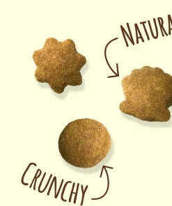 Friskies||Frisco Friskies Party Mix Natural Yums With Real Chicken Cat Treats, 6-oz bag + Frisco Melamine Dog & Cat Treat Jar with Bamboo Lid, 8 Cups -PetNest Shop 298036 PT3. SY630 V1623254242