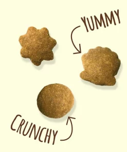 Friskies||Frisco Friskies Party Mix Natural Yums with Real Tuna Cat Treats, 6-oz bag + Frisco Melamine Dog & Cat Treat Jar with Bamboo Lid, 8 Cups -PetNest Shop 298044 PT3. SY630 V1621261941