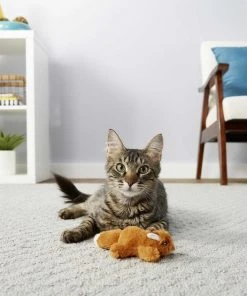 Instinct||Frisco Instinct Raw Boost Grain-Free Recipe with Real Chicken & Freeze-Dried Raw Coated Pieces Dry Cat Food, 10-lb bag + Frisco Refillable Catnip Cat Toy, Brown Squirrel -PetNest Shop 298152 PT6. SY630 V1623201461