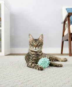 Sheba||Frisco Sheba Meaty Tender Sticks Chicken Cat Treats, 5 count + Frisco Moppy Ball Cat Toy, Blue -PetNest Shop 298506 PT4. SY630 V1623197251