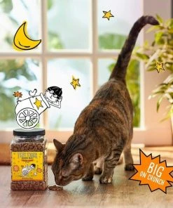 Tiny Tiger||Frisco Tiny Tiger Crunchy Bunch, Chicken Cannonball, Chicken Flavor Cat Treats, 20-oz Jar + Frisco Melamine Dog & Cat Treat Jar with Bamboo Lid, 8 Cups -PetNest Shop 298584 PT3. SY630 V1623197557