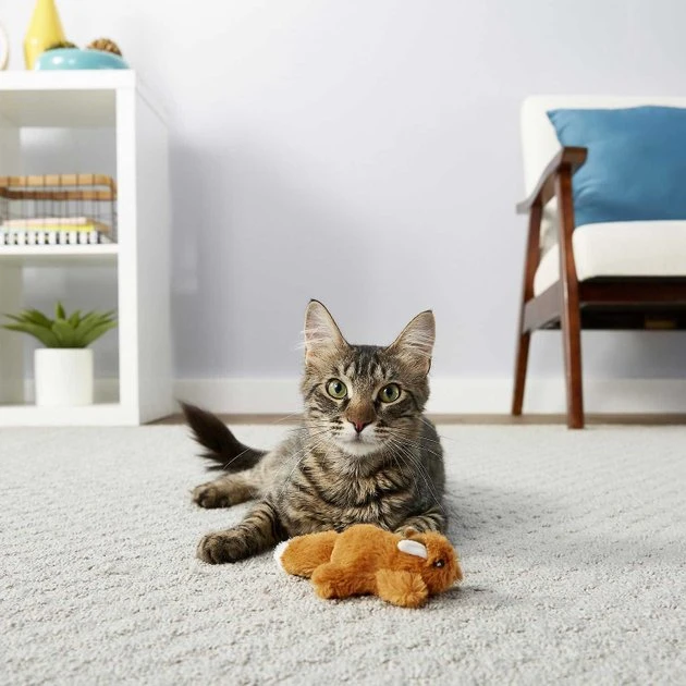 Weruva||Frisco Weruva Paw Lickin' Chicken in Gravy Grain-Free Canned Cat Food, 3-oz, case of 24 + Frisco Refillable Catnip Cat Toy, Brown Squirrel 8 Weruva||Frisco Weruva Paw Lickin' Chicken in Gravy Grain-Free Canned Cat Food, 3-oz, case of 24 + Frisco Refillable Catnip Cat Toy, Brown Squirrel - Image 6