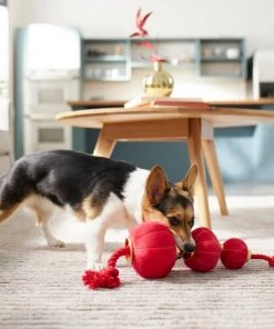 Frisco Lantern Plush with Rope Squeaky Dog Toy -PetNest Shop 298885 PT3. SY630 V1640269279