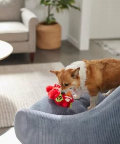 Frisco Dragon Bungee Plush Squeaky Dog Toy -PetNest Shop 298887 PT3. SY630 V1640269125