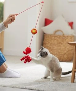 Frisco Firecracker & Lantern Teaser Cat Toy with Catnip -PetNest Shop 298901 PT3. SY630 V1640269210