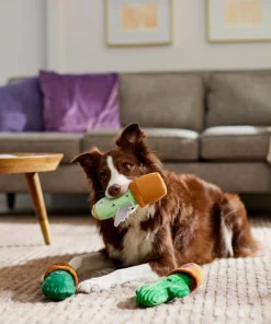 Frisco Cactus Plush Squeaky Dog Toy, 3 count -PetNest Shop 298921 PT3. SY630 V1638987259