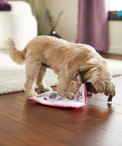 Frisco Valentine MASH Flat Plush Squeaky Dog Toy -PetNest Shop 298927 PT3. SY630 V1638987702