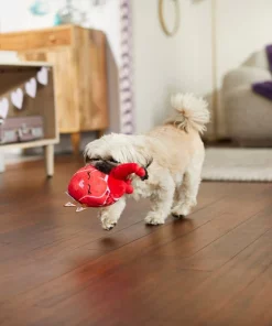 Frisco Anatomical Heart Plush Squeaky Dog Toy -PetNest Shop 298933 PT3. SY630 V1638987632