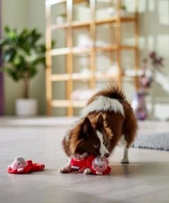 Frisco Lions Plush Squeaky Puppy Toy, 2 count -PetNest Shop 298935 PT3. SY630 V1638987670