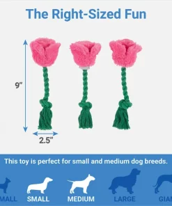 Frisco Roses Plush with Rope Squeaky Dog Toy, 3 count -PetNest Shop 298939 PT1. SY630 V1640284896