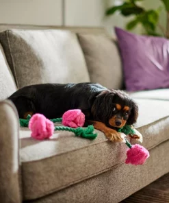 Frisco Roses Plush with Rope Squeaky Dog Toy, 3 count -PetNest Shop 298939 PT3. SY630 V1638987402