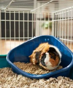 Frisco Corner Litter Box, Navy, X-Small + Small Animal Bedding, Lavender -PetNest Shop 301914 PT3. SY630 V1644980866