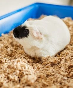 Frisco Corner Litter Box, Navy, X-Small + Small Animal Bedding, Natural -PetNest Shop 301916 PT8. SY630 V1644969780