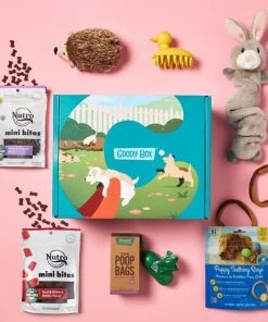 Goody Box||Frisco Goody Box Puppy Toys, Treats & Potty Training + Frisco Extra Large Training & Potty Pads, 28 x 34-in 16 Goody Box||Frisco Goody Box Puppy Toys, Treats & Potty Training + Frisco Extra Large Training & Potty Pads, 28 x 34-in -PetNest Shop 301946 PT5. SY630 V1658256089