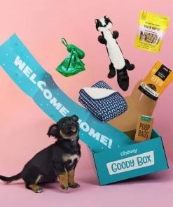 Goody Box||Frisco Goody Box Puppy Toys, Treats & Potty Training + Frisco Extra Large Training & Potty Pads, 28 x 34-in 17 Goody Box||Frisco Goody Box Puppy Toys, Treats & Potty Training + Frisco Extra Large Training & Potty Pads, 28 x 34-in -PetNest Shop 301946 PT6. SY630 V1657656678