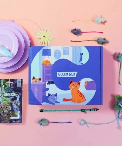 Goody Box||Frisco Goody Box Kitten Toys & Treats + Frisco Multi-Cat Unscented Clumping Clay Cat Litter -PetNest Shop 301962 PT2. SY630 V1622820745