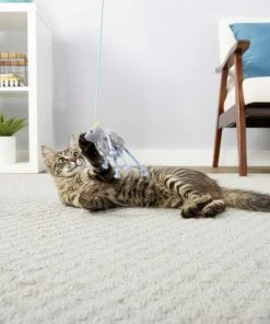 Goody Box||Frisco Goody Box Kitten Toys & Treats + Frisco Multi-Cat Unscented Clumping Clay Cat Litter -PetNest Shop 301962 PT3. SY630 V1622821958