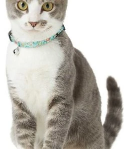 Goody Box||Frisco Goody Box Kitten Toys & Treats + Frisco Multi-Cat Unscented Clumping Clay Cat Litter -PetNest Shop 301962 PT4. SY630 V1622824042