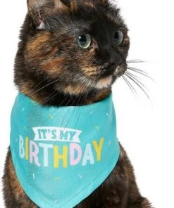 Frisco Birthday Bandana, X-Small/Small + Dog & Cat Crown, X-Small/Small -PetNest Shop 302372 PT3. SY630 V1633084883
