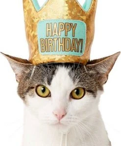 Frisco Birthday Bandana, X-Small/Small + Dog & Cat Crown, X-Small/Small -PetNest Shop 302372 PT4. SY630 V1633061817