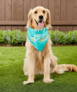 Frisco Birthday Bandana, X-Small/Small + Dog & Cat Crown, X-Small/Small -PetNest Shop 302372 PT5. SY630 V1633061225