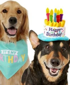 Frisco Birthday B&ana, X-Small/Small + Dog & Cat Hat, X-Small/Small 13 Frisco Birthday B&ana, X-Small/Small + Dog & Cat Hat, X-Small/Small -PetNest Shop 302374 PT2. SY630 V1633061815