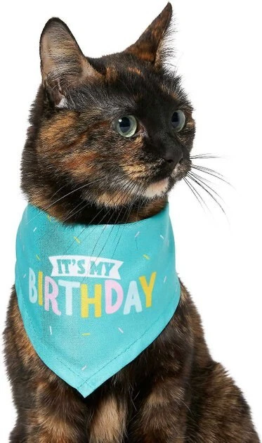 Frisco Birthday B&ana, X-Small/Small + Dog & Cat Hat, X-Small/Small 6 Frisco Birthday B&ana, X-Small/Small + Dog & Cat Hat, X-Small/Small - Image 4