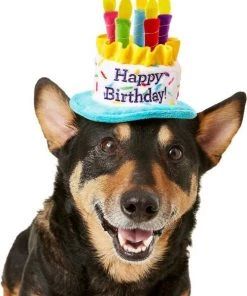 Frisco Birthday B&ana, X-Small/Small + Dog & Cat Hat, X-Small/Small 15 Frisco Birthday B&ana, X-Small/Small + Dog & Cat Hat, X-Small/Small -PetNest Shop 302374 PT4. SY630 V1633078001