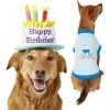 Frisco Birthday Cake Hat, Medium/Large + Dog & Cat T-Shirt, Blue 2 Frisco Birthday Cake Hat, Medium/Large + Dog & Cat T-Shirt, Blue -PetNest Shop 302376 MAIN. SY630 V1623052351