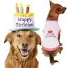 Frisco Birthday Cake Hat, Medium/Large + Dog & Cat T-Shirt, Pink -PetNest Shop 302384 MAIN. SY630 V1623062548