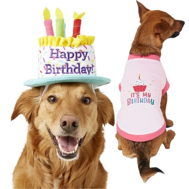 Frisco Birthday Cake Hat, Medium/Large + Dog & Cat T-Shirt, Pink 3 Frisco Birthday Cake Hat, Medium/Large + Dog & Cat T-Shirt, Pink