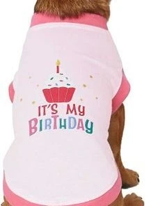 Frisco Birthday Cake Hat, Medium/Large + Dog & Cat T-Shirt, Pink 16 Frisco Birthday Cake Hat, Medium/Large + Dog & Cat T-Shirt, Pink -PetNest Shop 302384 PT5. SY630 V1623084453
