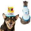 Frisco Birthday Cake Hat, X-Small/Small + Dog & Cat T-Shirt, Blue 1 Frisco Birthday Cake Hat, X-Small/Small + Dog & Cat T-Shirt, Blue -PetNest Shop 302392 MAIN. SY630 V1623079046