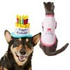 Frisco Birthday Cake Hat, X-Small/Small + Dog & Cat T-Shirt, Pink -PetNest Shop 302396 MAIN. SY630 V1623088054