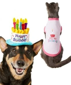 Frisco Birthday Cake Hat, X-Small/Small + Dog & Cat T-Shirt, Pink