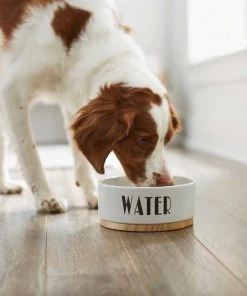 Frisco Ceramic Bowl with Wood Base, 2.5 Cups + Treat Jar, 4 Cups -PetNest Shop 302412 PT3. SY630 V1623071551