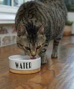 Frisco Ceramic Dog & Cat Water + Food Bowl with Wood Base -PetNest Shop 302414 PT3. SY630 V1623051143