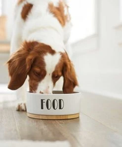 Frisco Ceramic Dog Bowl with Wood Base, 2.5 Cups + Treat Jar, 4 Cups -PetNest Shop 302418 PT4. SY630 V1623088650